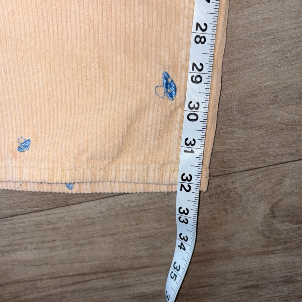 PacSun Light Tan Corduroy Pants with Blue Accents - Picture 8 of 12